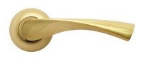 Дверные ручки RUCETTI RAP 1 SG/GP Цвет - Матовое золото/золото